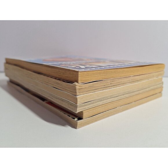 6 Flat Stanley Chapter Worldwide Adventure 2 4 6 9 Magic Lamp Christmas Book Lot - Picture 3 of 5